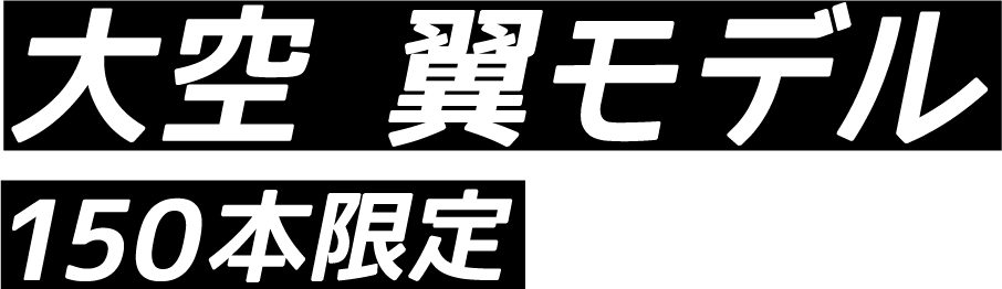 大空翼モデル